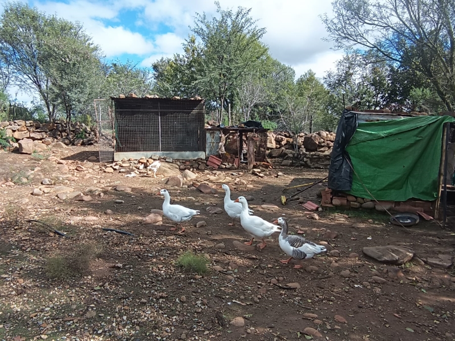 3 Bedroom Property for Sale in Koppies Free State